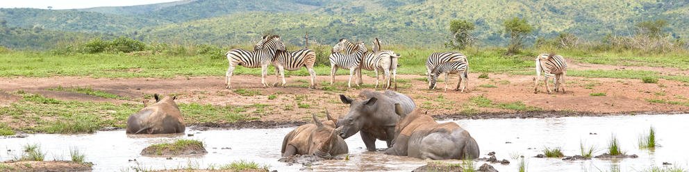 Surafrica, KwaZulu-Natal,  Safari, Historia y Patrimonio